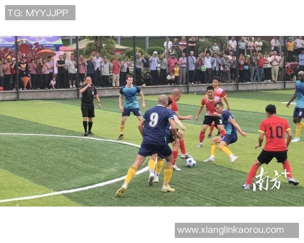 青岛足球赛激情四溢球迷齐聚共庆足球盛事展现城市活力与团结精神